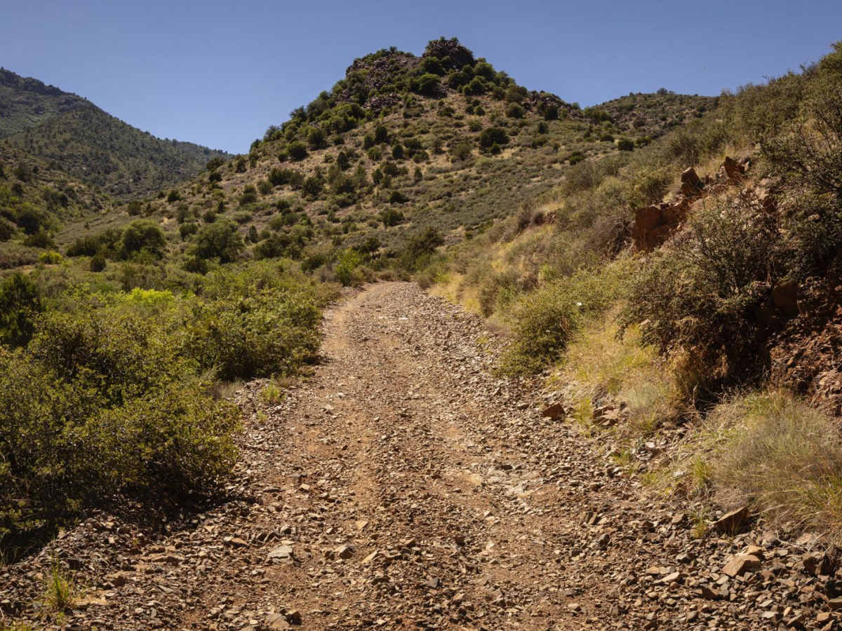 Mingus Mountain photo 5