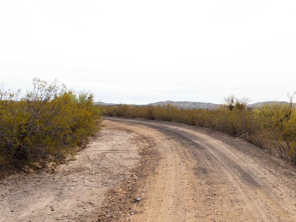 Microwave Station Road photo 3