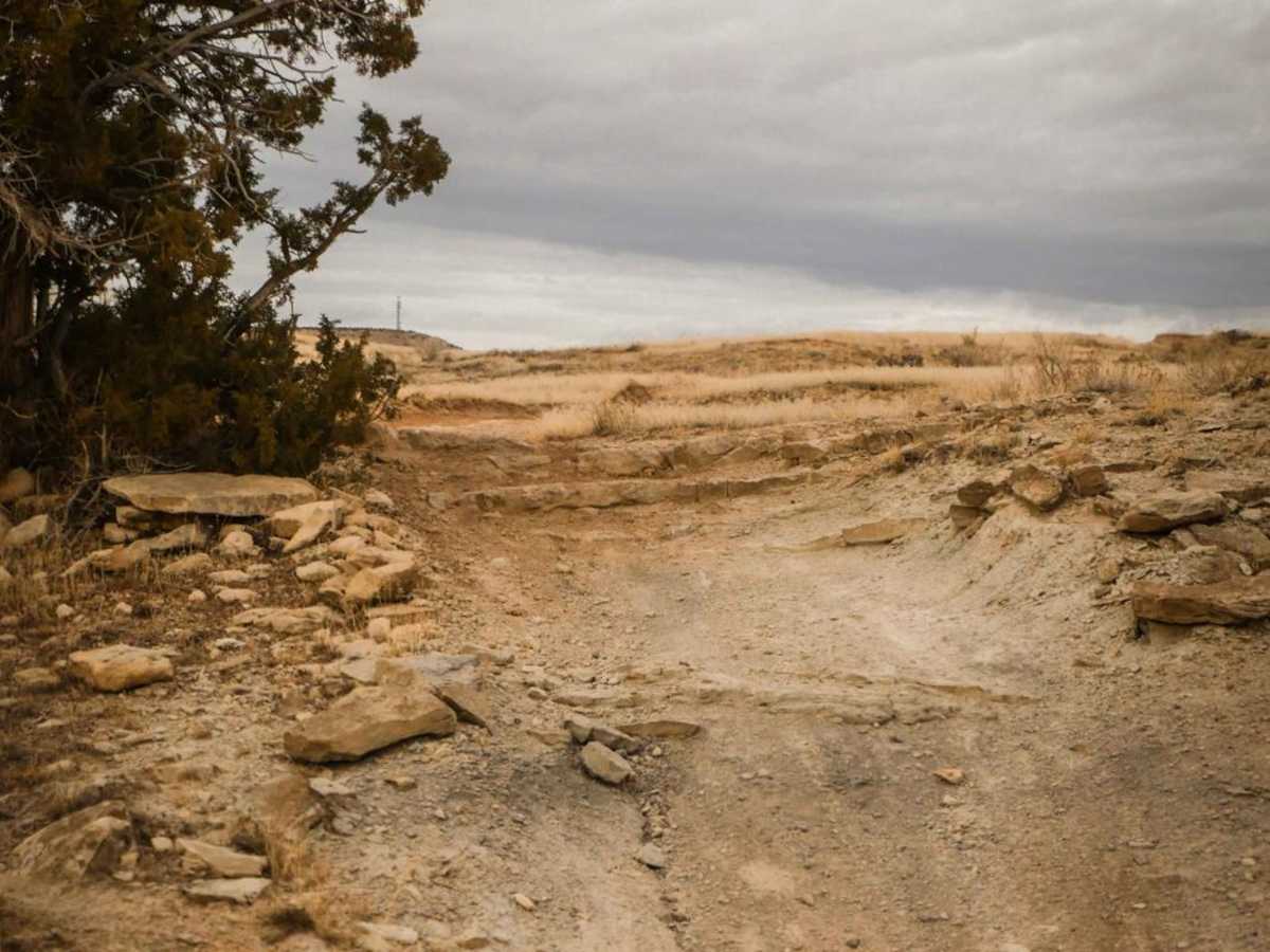 Trail 5 photo 2