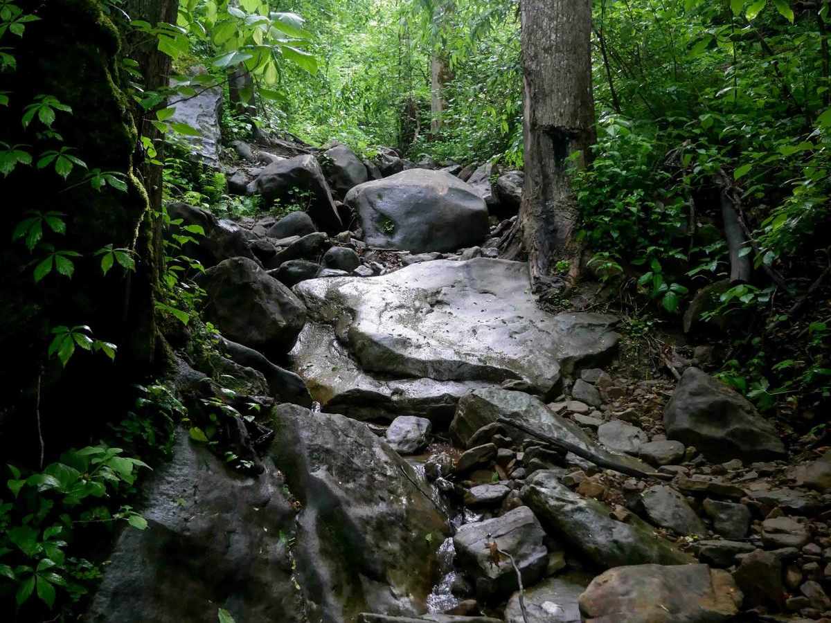 B80 trail photo