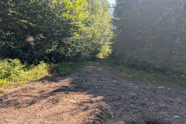 Blue Pond Road