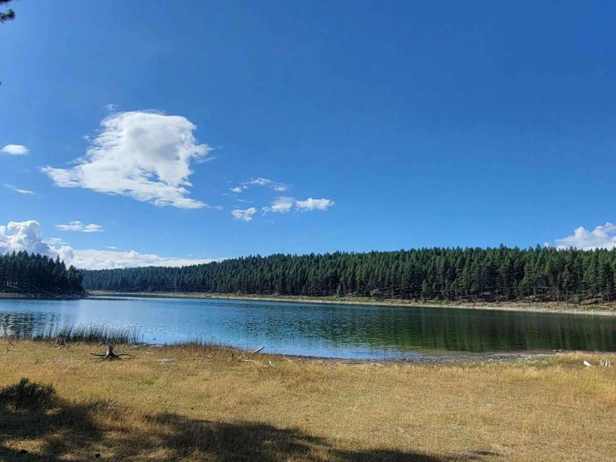 Wasa Sheep Creek Road photo 6