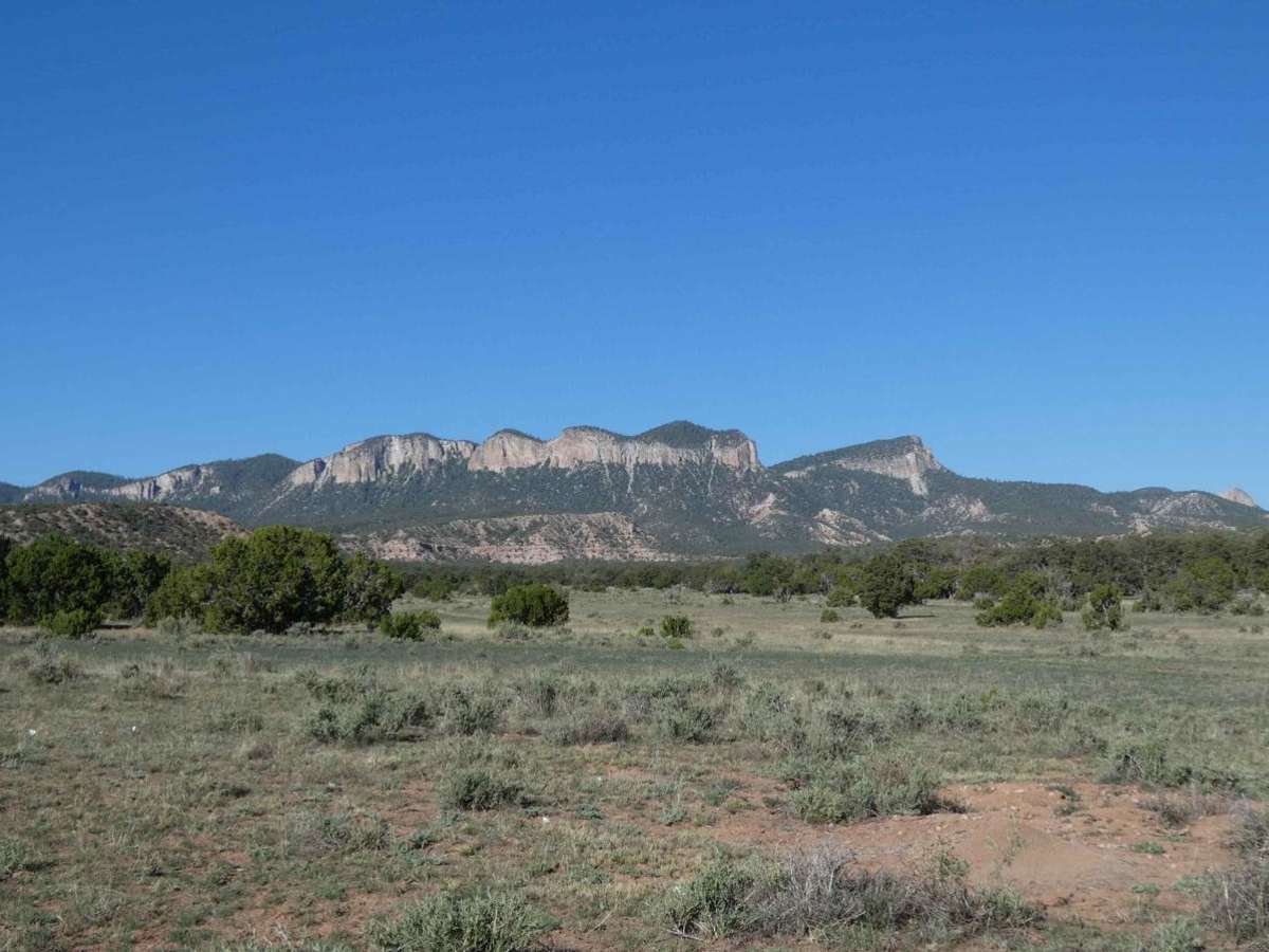 Davenport Canyon FS6 trail photo