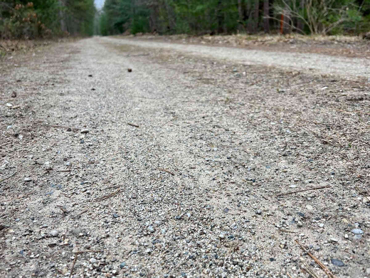 NFS 9222 (Newaygo Experimental Forest) photo 2