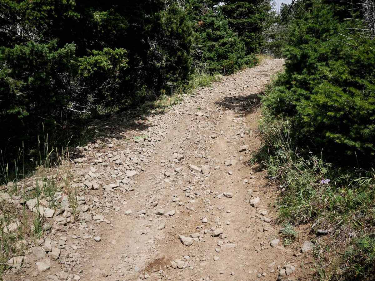 Jackson Creek ATV photo 2