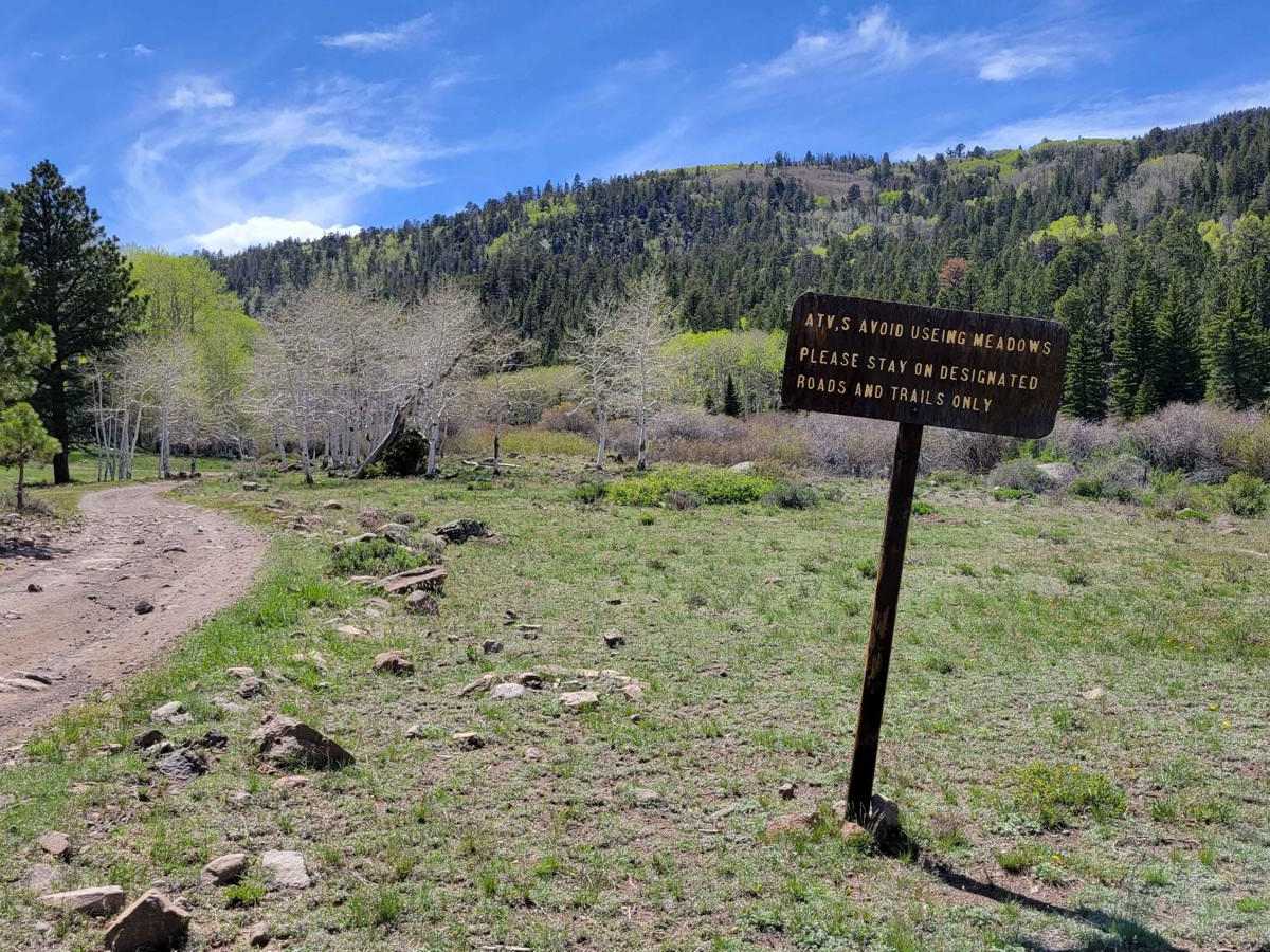 35158 - Pleasant Cr Trail photo 5