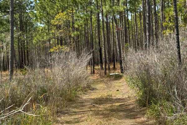 Pringle Road Spur 1