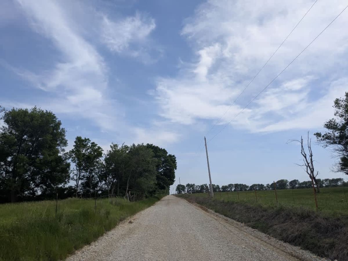 South 560 photo 5