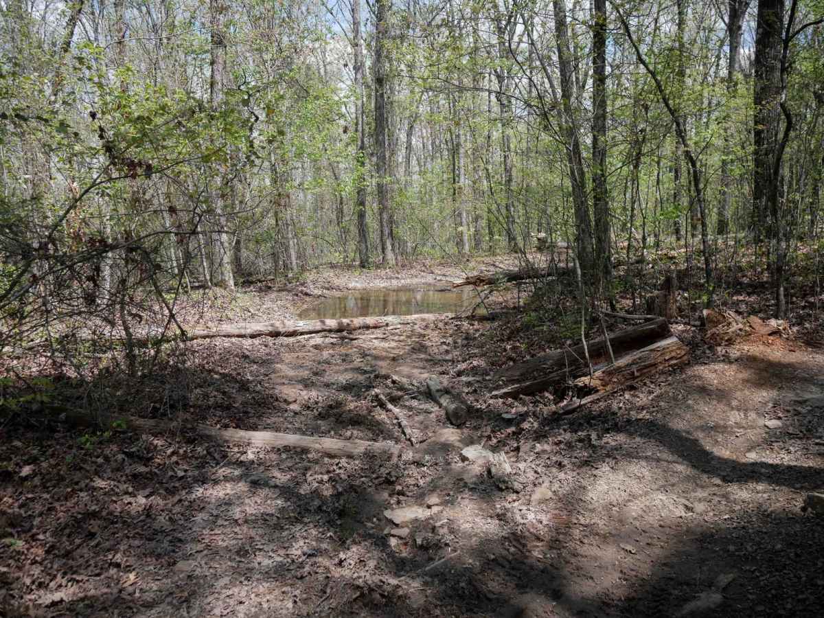 Black Oak Ridge Loop photo 4