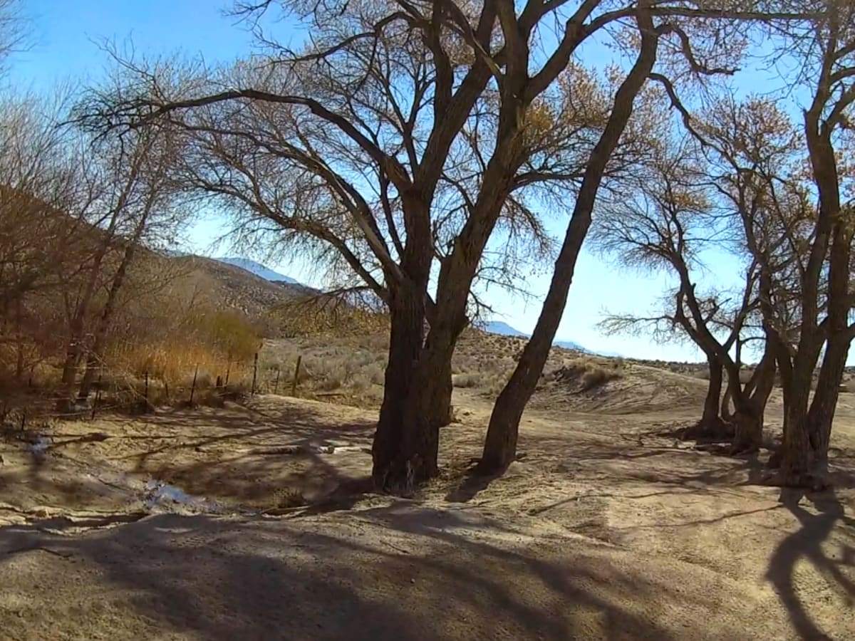 Dove Springs Access Trail trail photo
