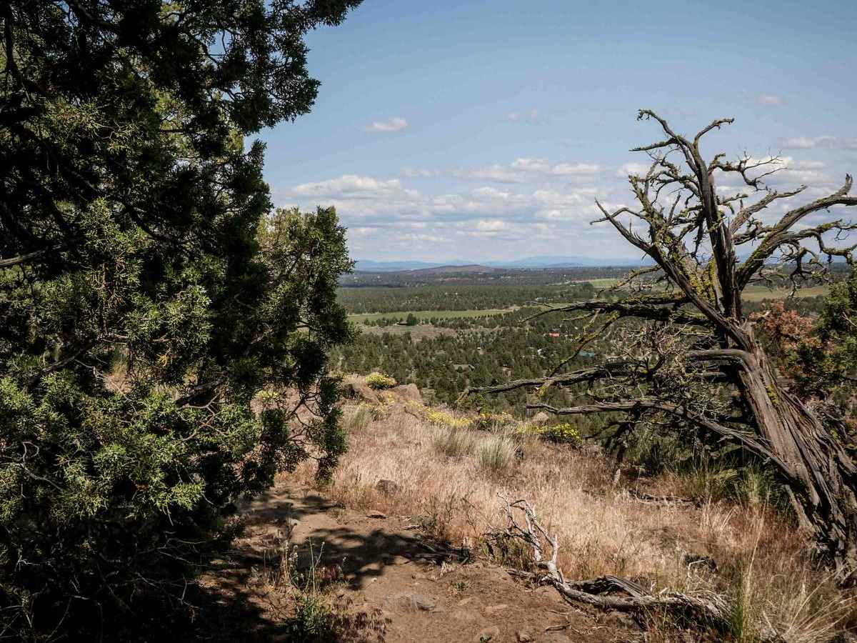 75 trail photo