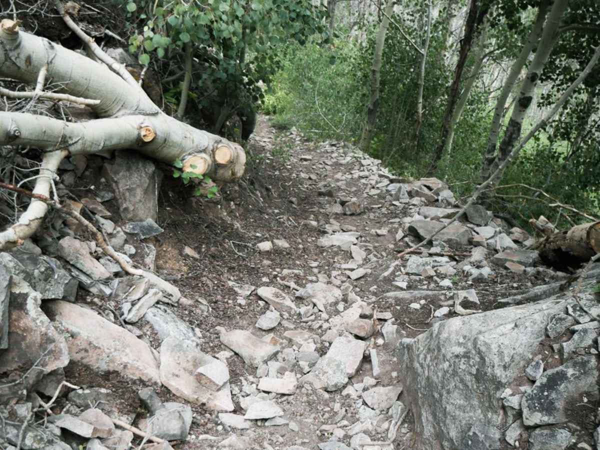 Gold Run photo 5