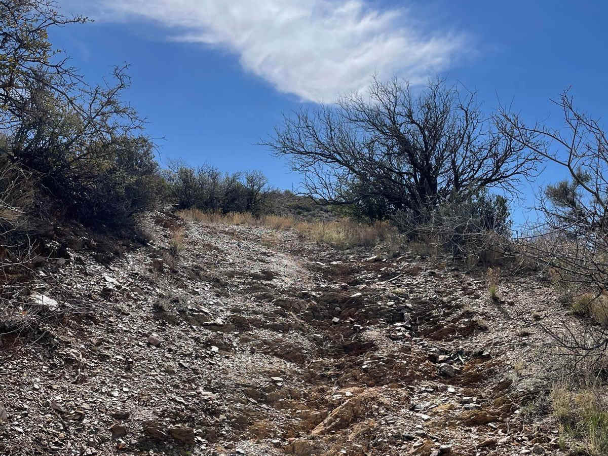 Big Bug & Ruts trail photo