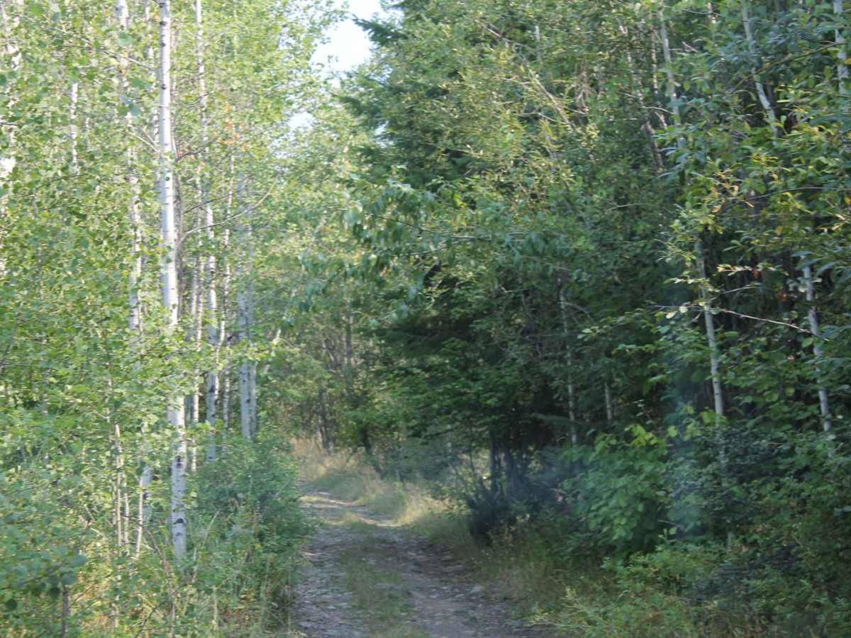 Al Donaldson Trail photo 3