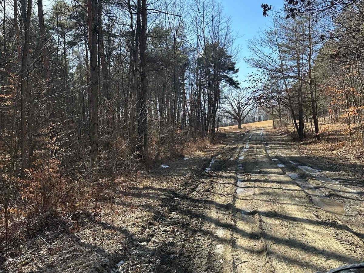Harrisburg Hollow (Seasonal Section) photo 3
