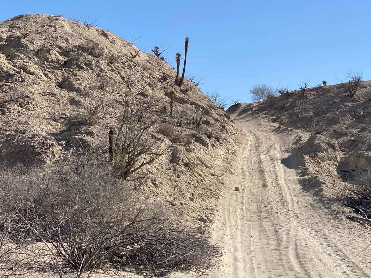 Playa Loop trail photo