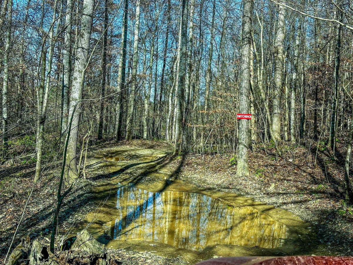 Switchback photo 2