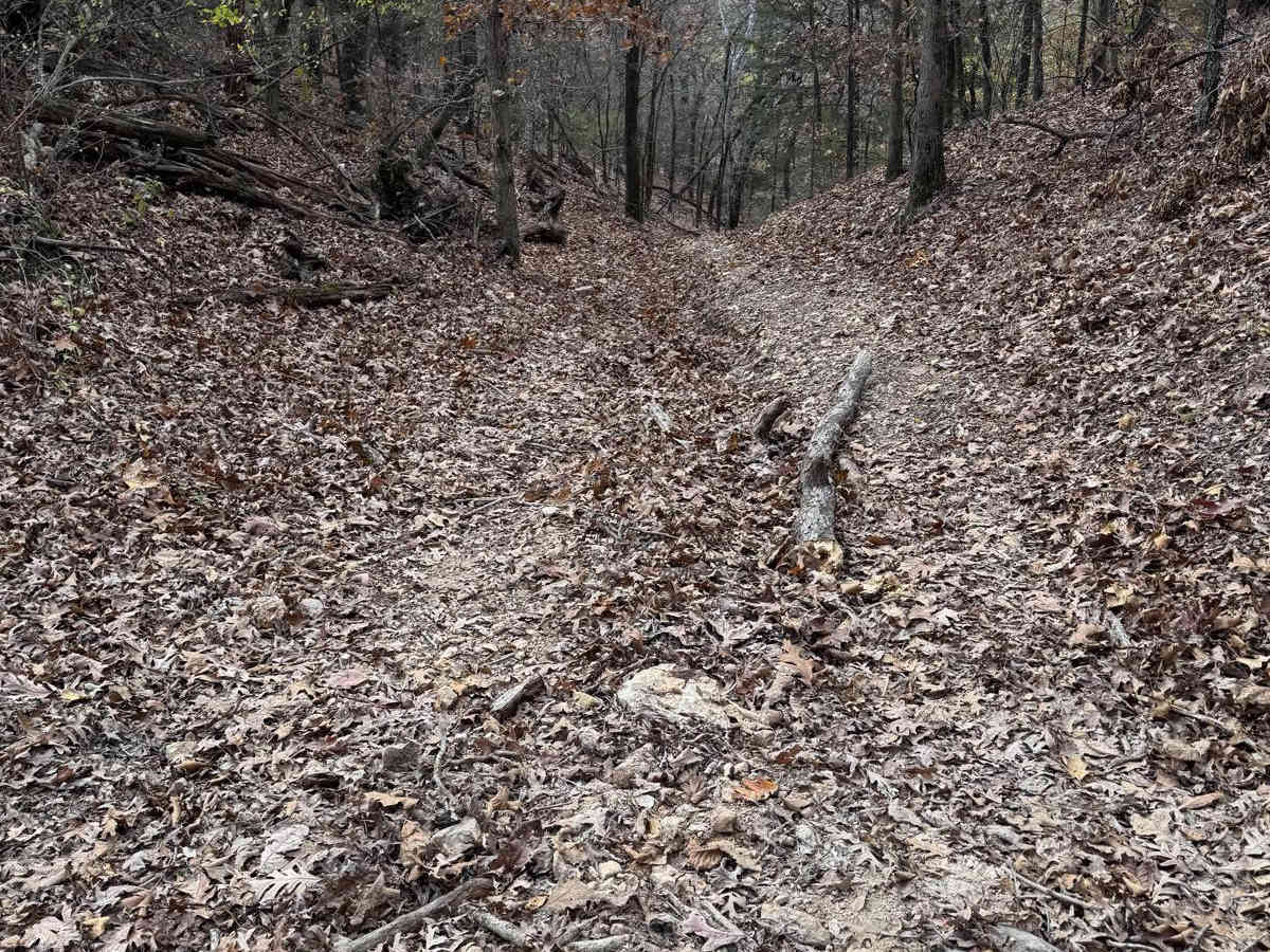 Purple 200 trail photo