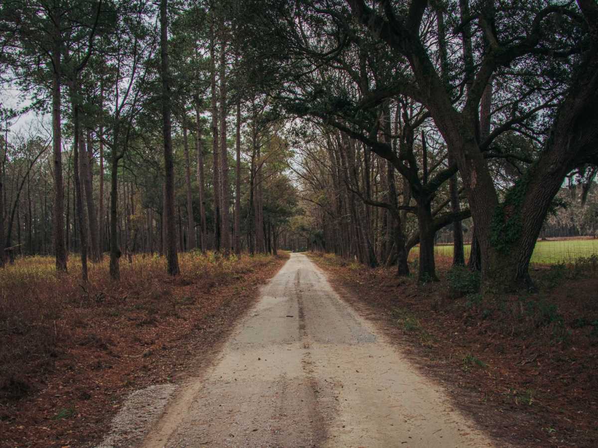 Donnelly WMA PT.2 trail photo