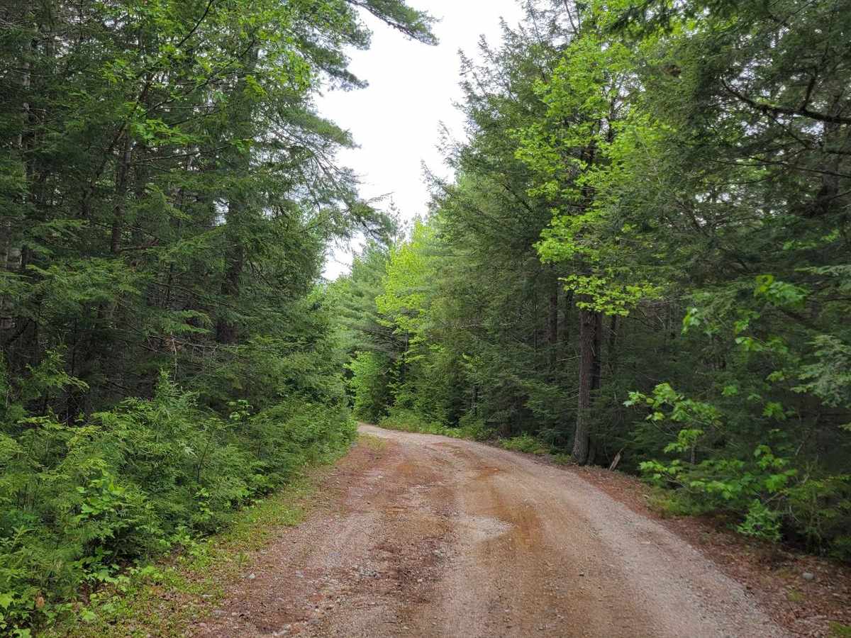 Brandy Pond West photo 3