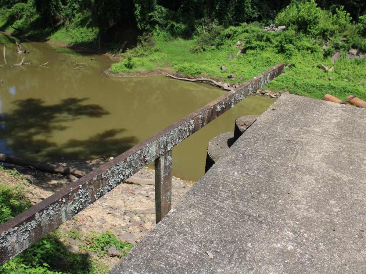 Petit Jean River Wildlife Mgmt Area photo 4