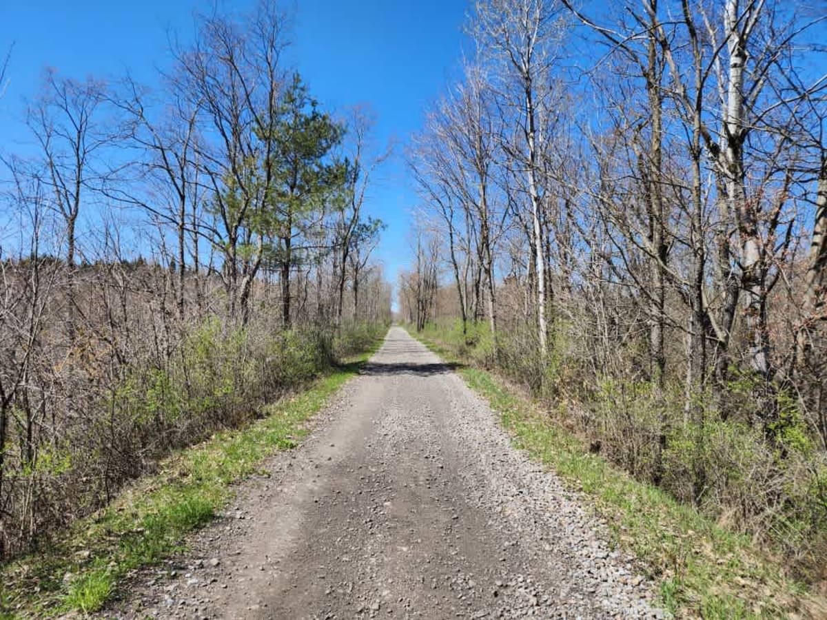 The Monteola Corridor photo 2