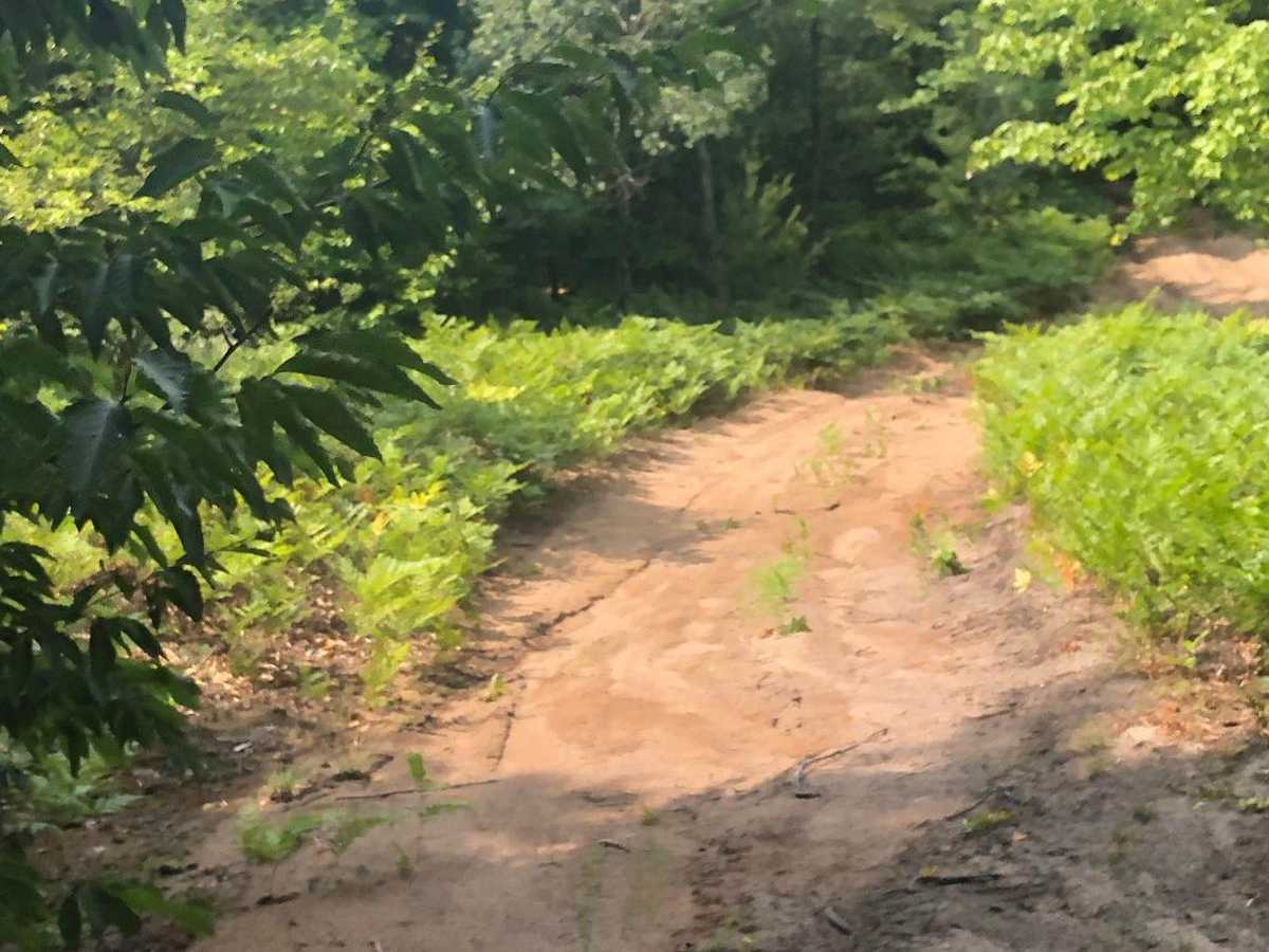 Betsie Valley Spur photo 3