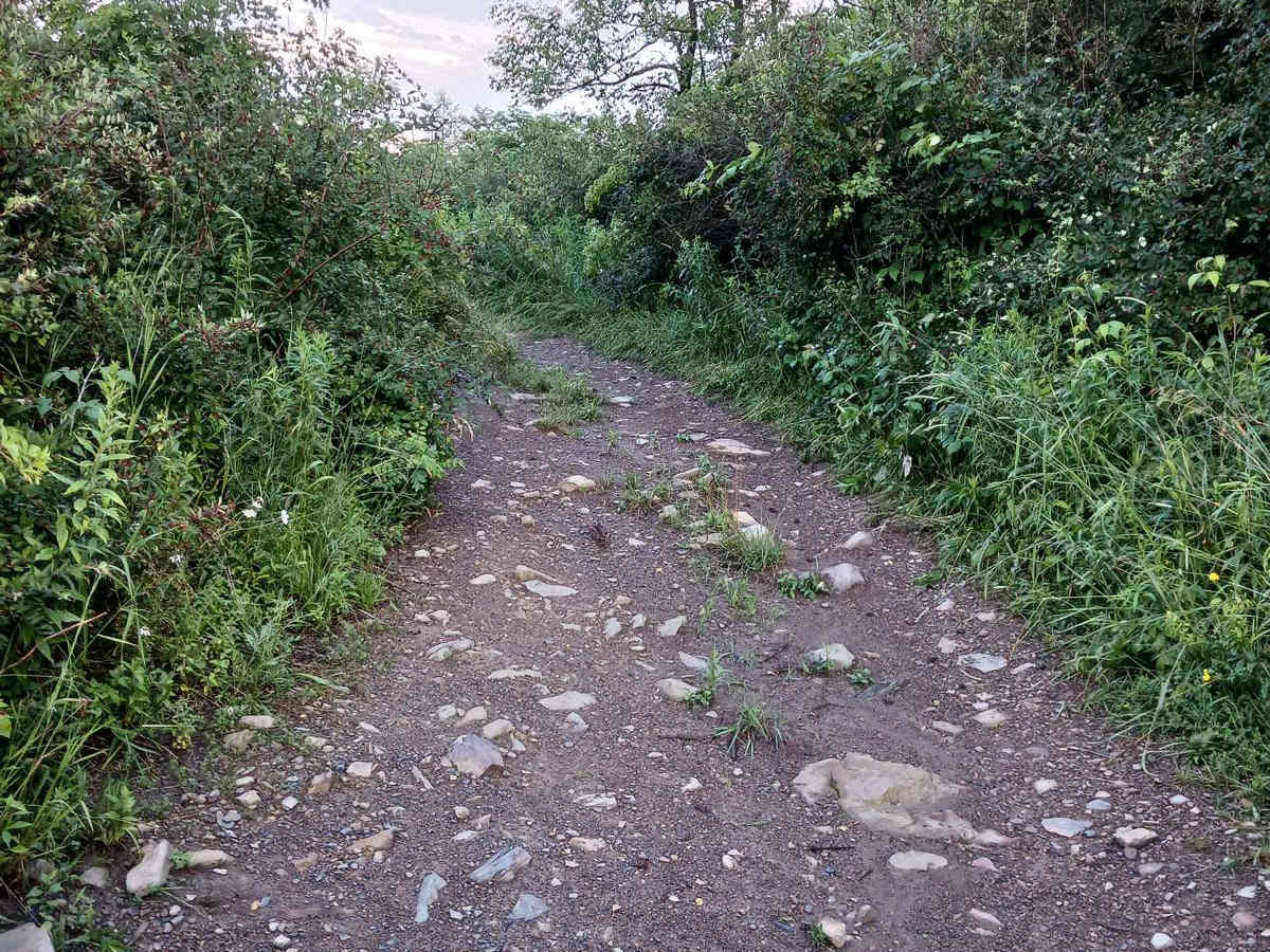 Trail 12N - Rock Run Recreation Area photo 6