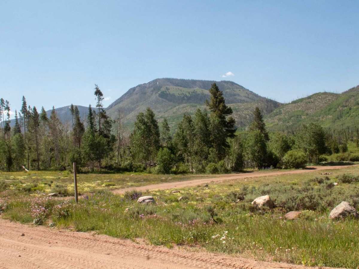 East Fork Bear River photo 6