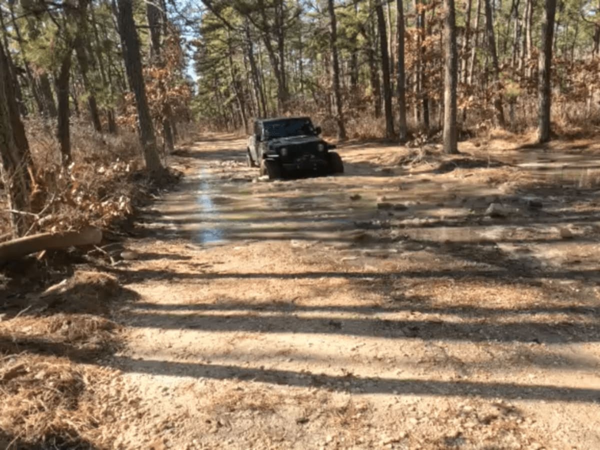 Bulldozed Road trail photo