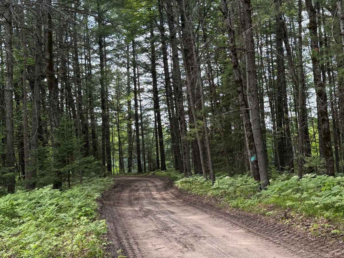 Manistee RXR River Trail photo 3