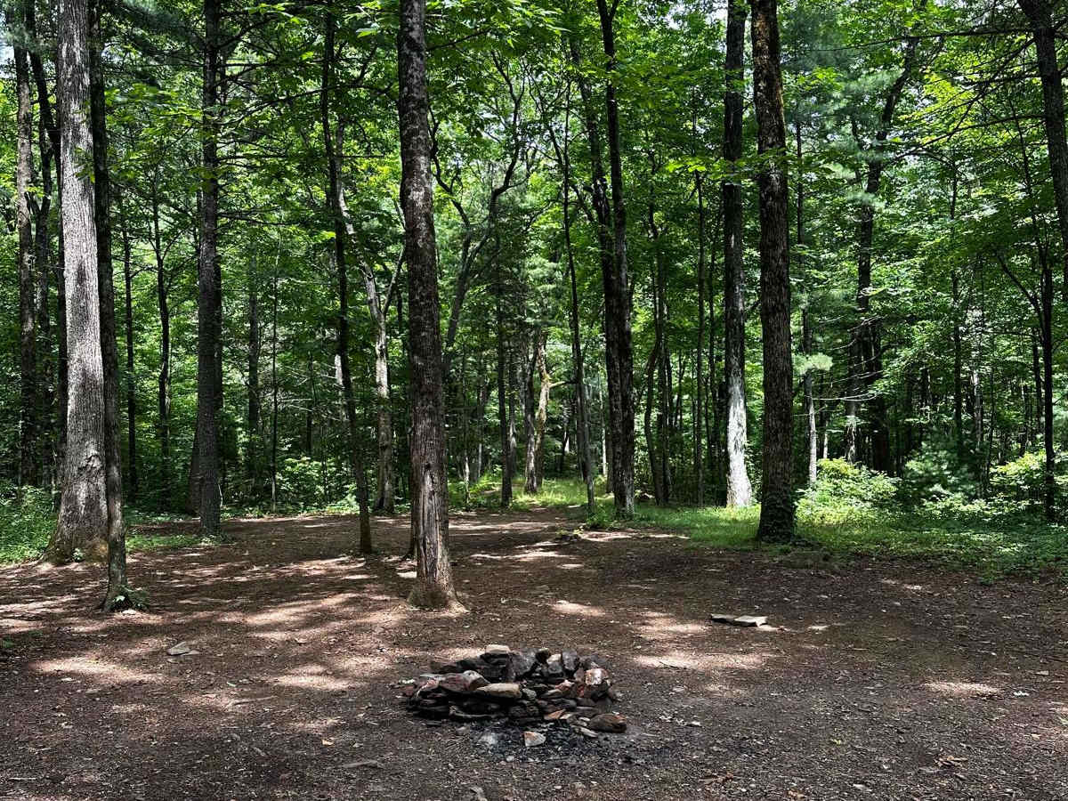 Blue Ridge FS #42 E photo 5