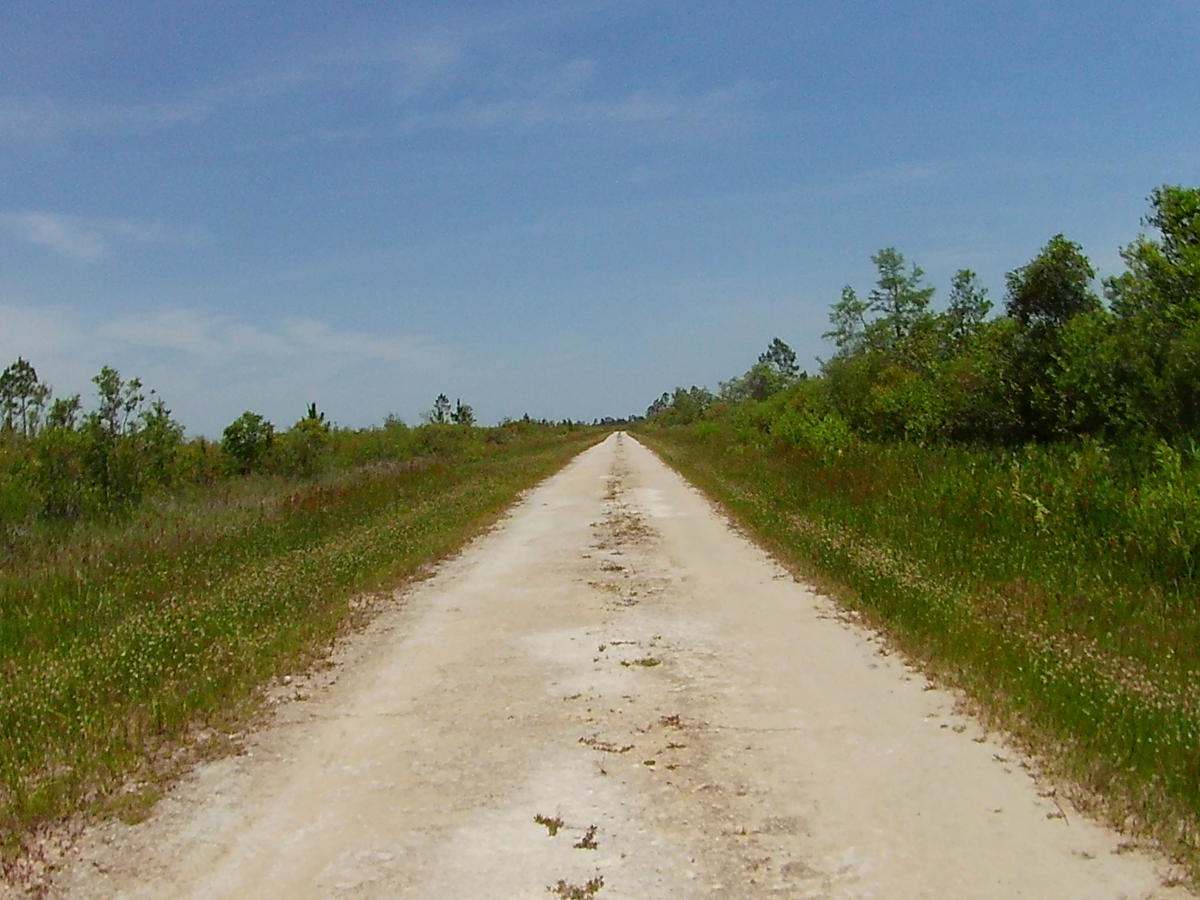 Tom Gunter Road photo 3