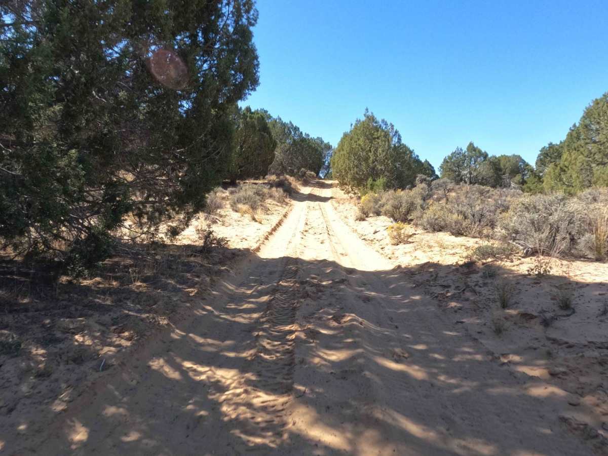 Nephi Pasture Road photo 3