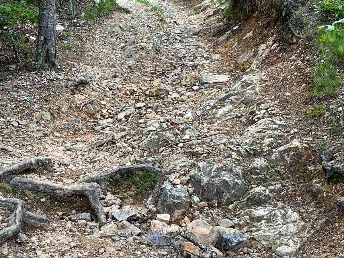 Eagle Mountain Lookout photo 2