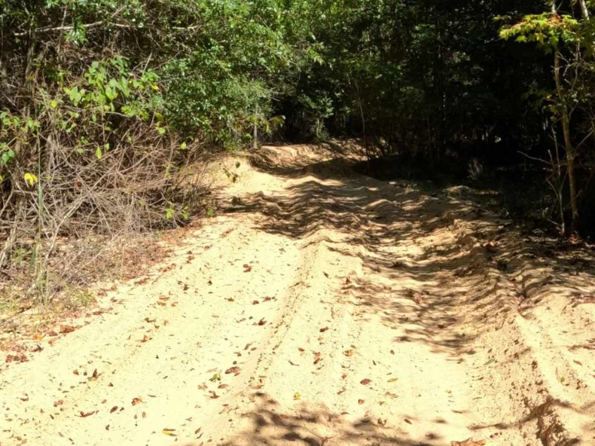 Tranquility Trail photo 6