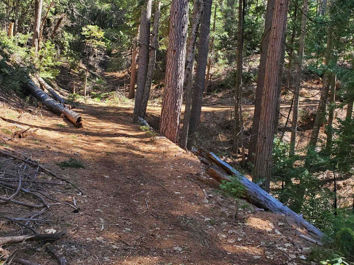 Sugarloaf 4WD & West (12N70G & 12NY21) trail photo