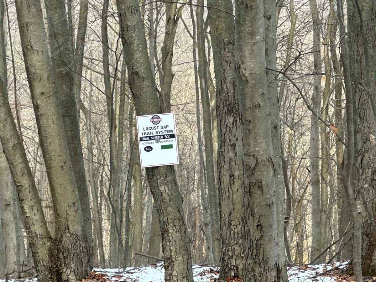Locust Gap 52 photo 3