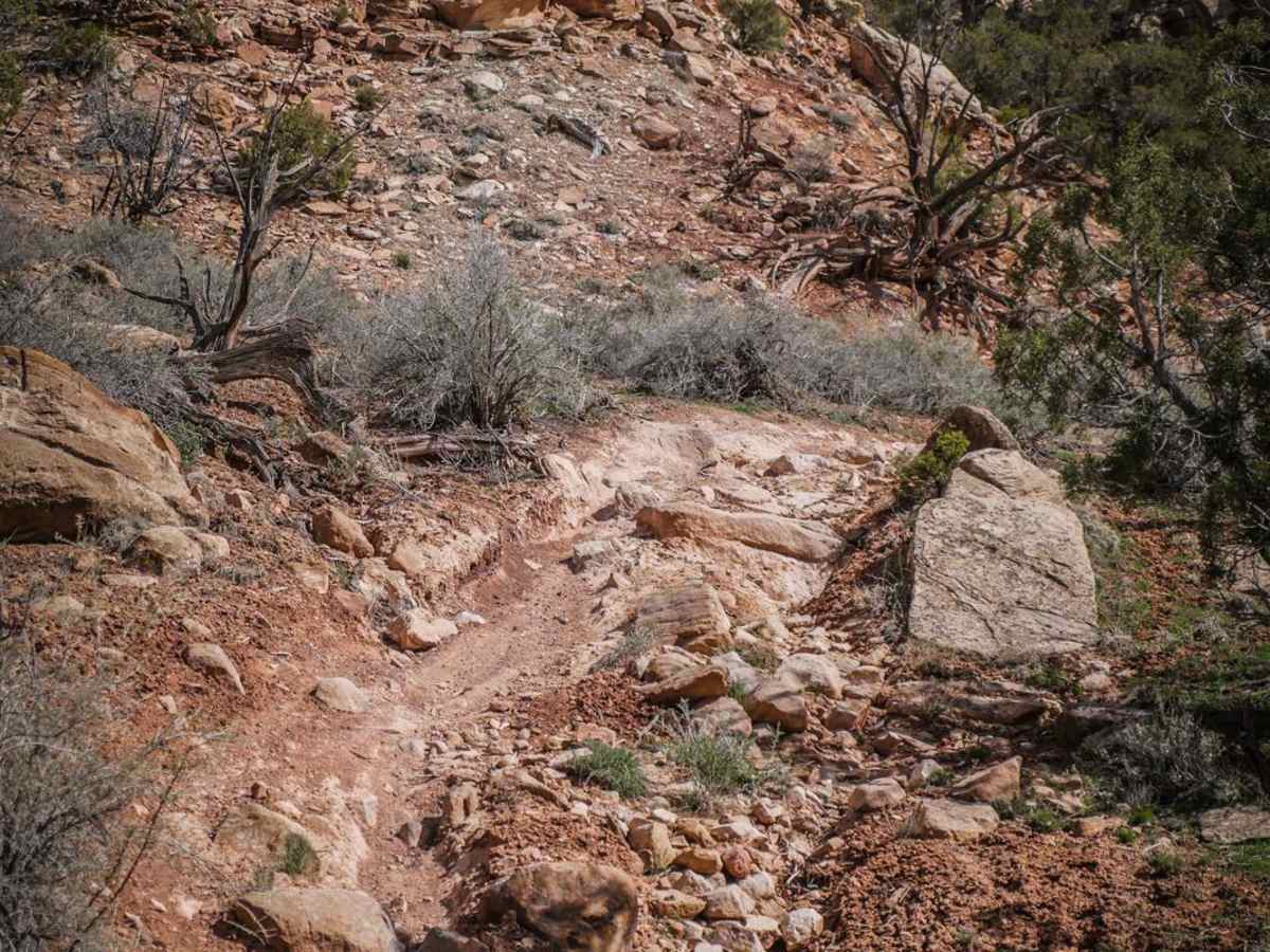 Red Rocks trail photo