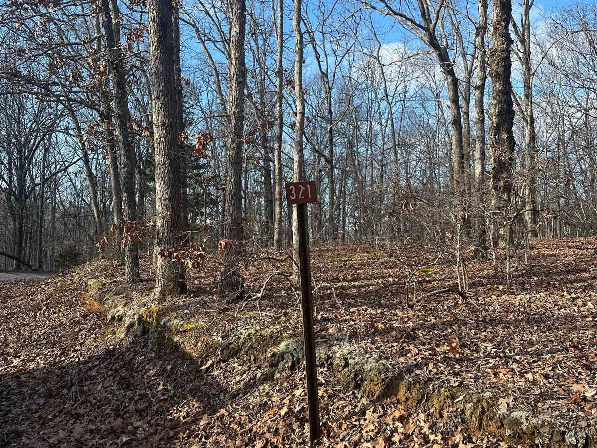 FSR - 321 trail photo