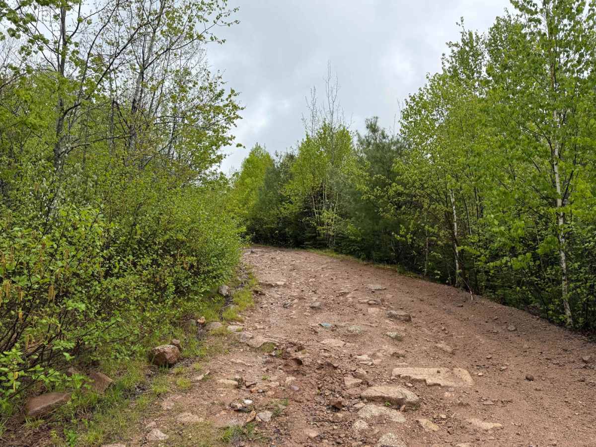 Granite Lane Trail photo 5