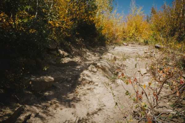 Lone Pine Trail