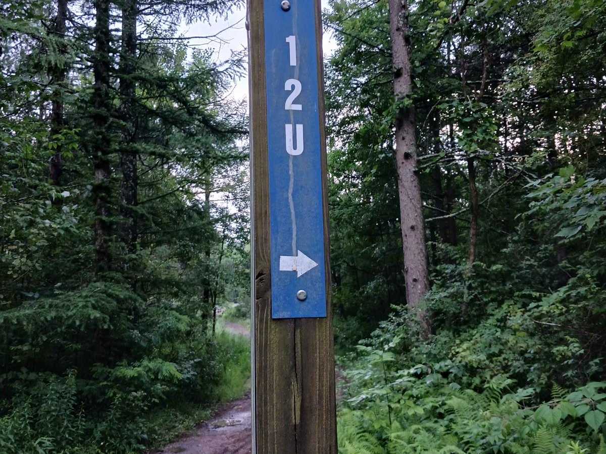 Trail 12U - Rock Run Recreation Area trail photo