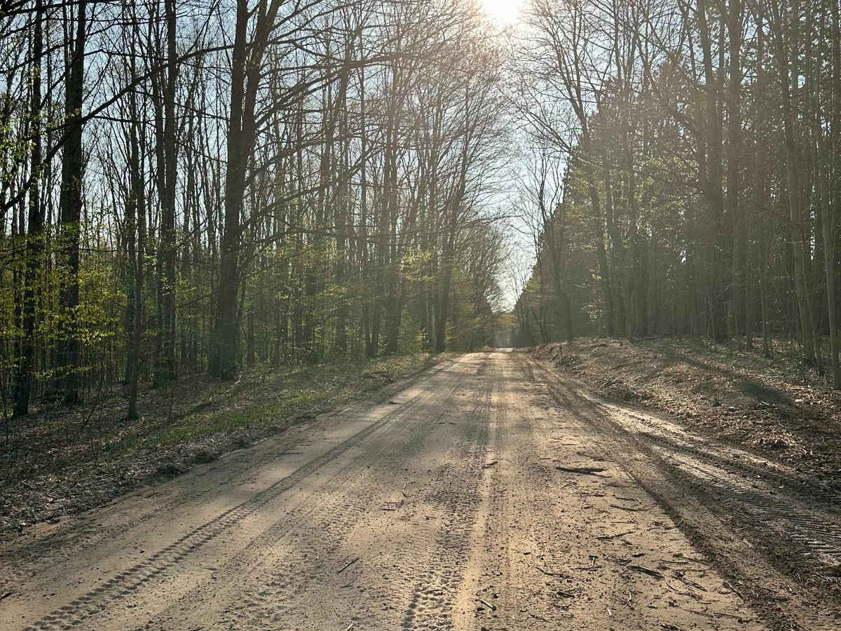 Cadillac Area ORV/OHV Scenic Ride - Part 5 trail photo