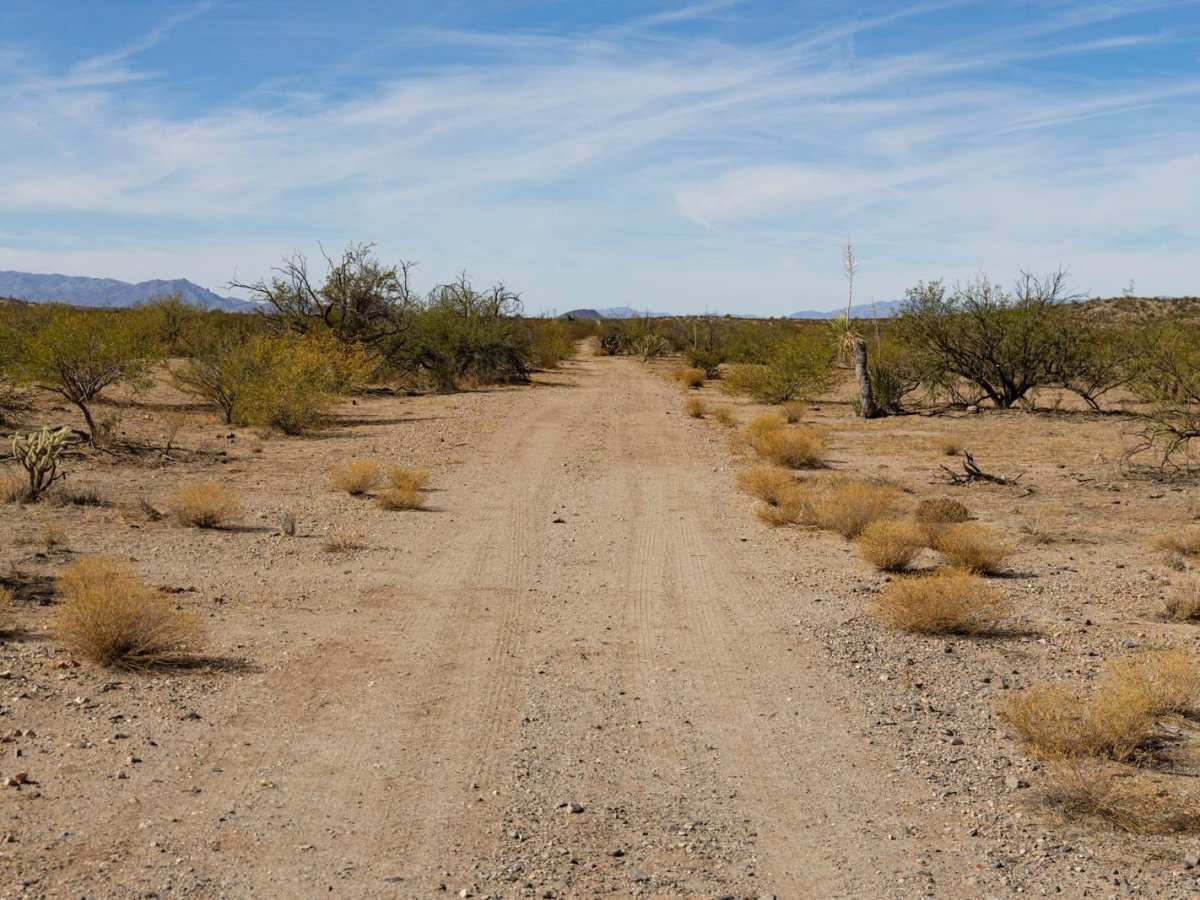 Bumper Breaker trail photo