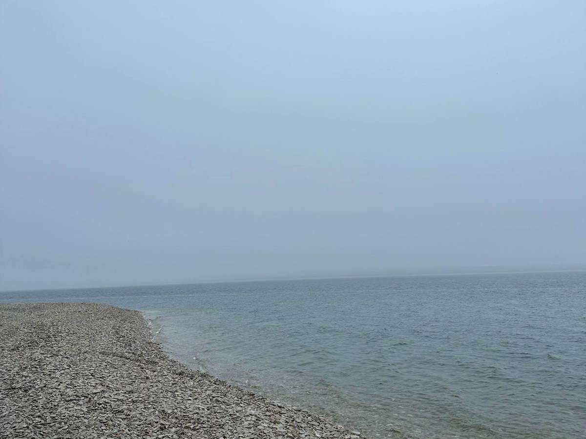 Shale Beach photo 5
