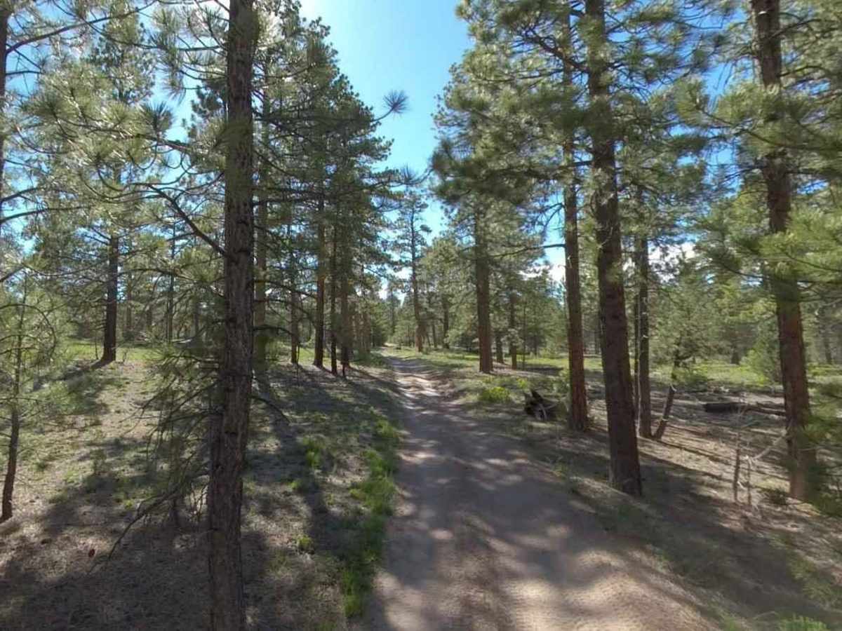 Peterson Point-NFR30697 photo 4