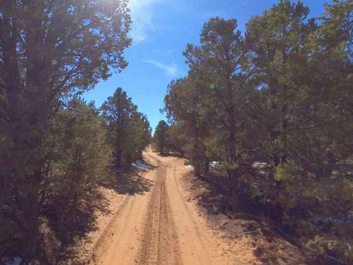 Flag Point Trail photo 3