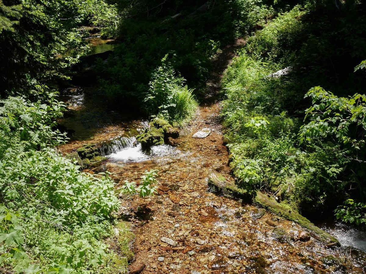 Telichpah Creek NRT photo 2