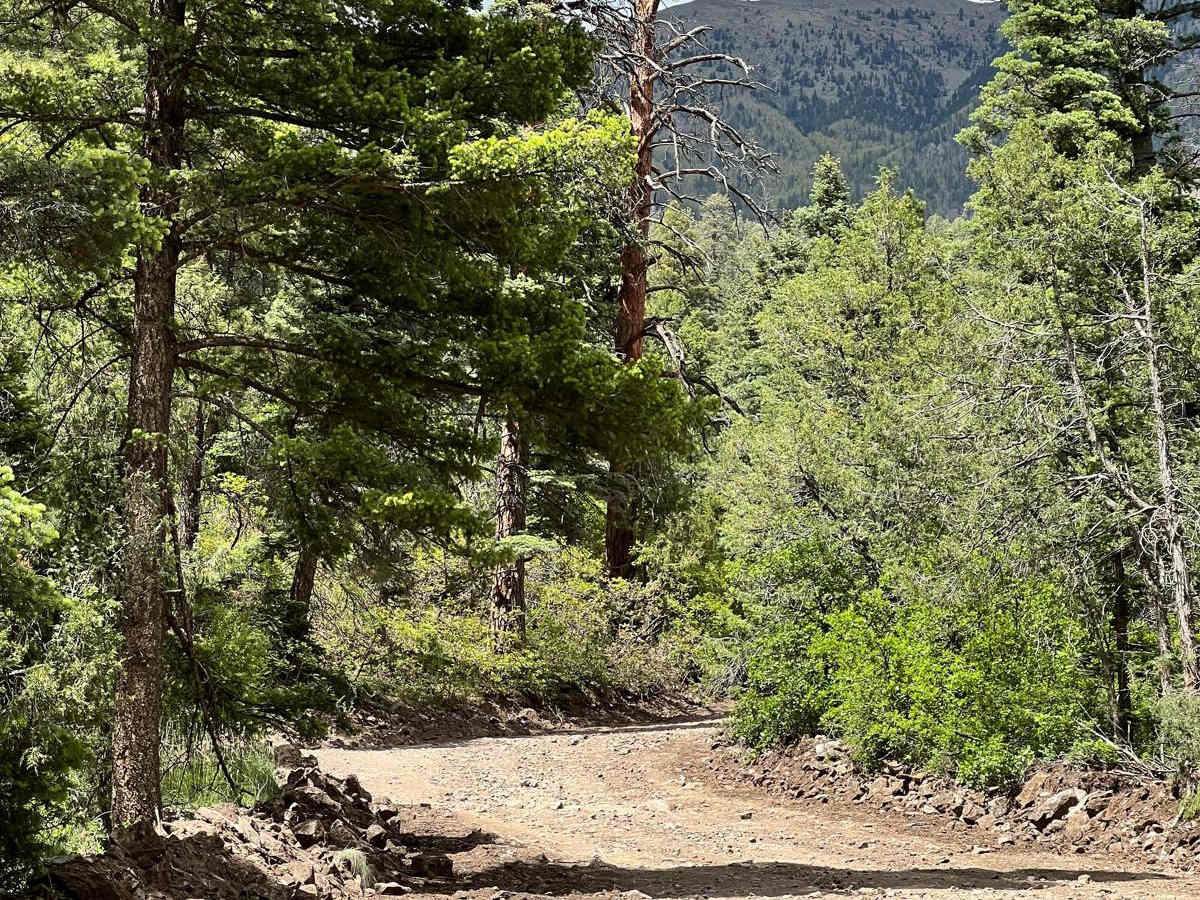 Cabresto Lake - FS 134A photo 4